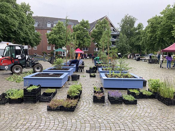 Aufbau der Pflanzbeete beim Frühlingsfest, 22. Mai 2024