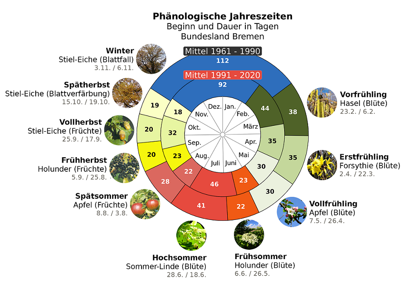 Phänologische Uhr für Land Bremen